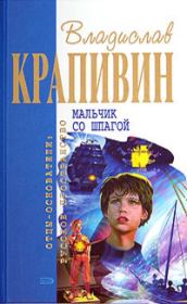 Книга - Мальчик со шпагой.  Владислав Петрович Крапивин  - прочитать полностью в библиотеке КнигаГо