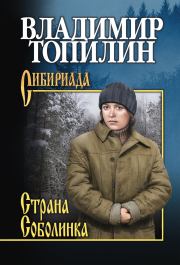 Книга - Страна Соболинка.  Владимир Степанович Топилин  - прочитать полностью в библиотеке КнигаГо