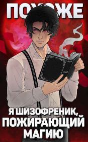 Книга - Похоже, я шизофреник, пожирающий магию. Том 1. Том 2 (СИ).  Николай Васильевич Новиков  - прочитать полностью в библиотеке КнигаГо