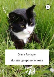 Книга - Жизнь дворового кота.  Ольга Владимировна Рамария  - прочитать полностью в библиотеке КнигаГо
