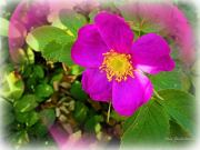 Танго одной ночи. Нина Юдичева