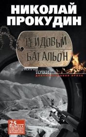 Книга - Рейдовый батальон.  Николай Николаевич Прокудин  - прочитать полностью в библиотеке КнигаГо