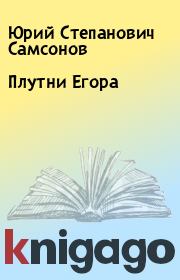 Книга - Плутни Егора.  Юрий Степанович Самсонов  - прочитать полностью в библиотеке КнигаГо