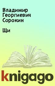 Книга - Щи.  Владимир Георгиевич Сорокин  - прочитать полностью в библиотеке КнигаГо