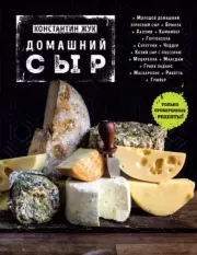 Книга - Домашний сыр.  Константин Витальевич Жук  - прочитать полностью в библиотеке КнигаГо