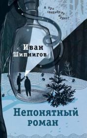 Книга - Непонятный роман.  Иван В. Шипнигов  - прочитать полностью в библиотеке КнигаГо