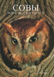 Совы. Пол Стерри