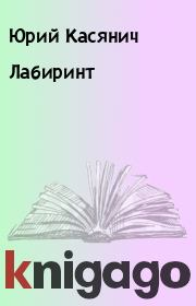 Книга - Лабиринт.  Юрий Касянич  - прочитать полностью в библиотеке КнигаГо