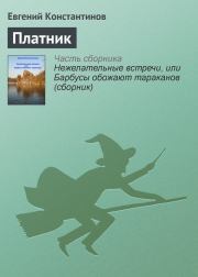 Книга - Платник.  Евгений Михайлович Константинов  - прочитать полностью в библиотеке КнигаГо