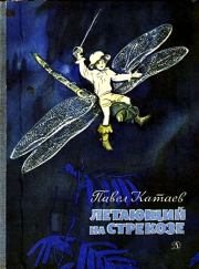 Книга - Летающий на стрекозе.  Павел Валентинович Катаев  - прочитать полностью в библиотеке КнигаГо