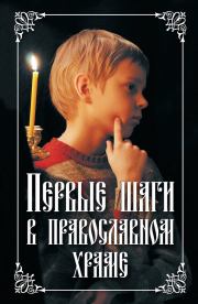 Книга - Первые шаги в православном храме.  Николай С Посадский  - прочитать полностью в библиотеке КнигаГо