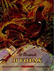 Книга - В горах.  Владимир Евгеньевич Флинт  - прочитать полностью в библиотеке КнигаГо