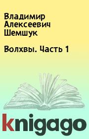 Книга - Волхвы. Часть 1.  Владимир Алексеевич Шемшук  - прочитать полностью в библиотеке КнигаГо