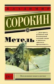 Метель. Владимир Георгиевич Сорокин