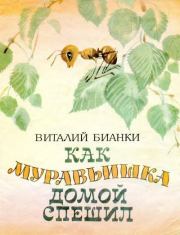 Книга - Как муравьишка домой спешил.  Виталий Валентинович Бианки  - прочитать полностью в библиотеке КнигаГо