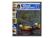 Юный натуралист 1984 №10. Журнал «Юный натуралист»