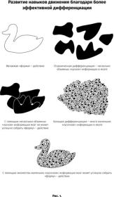 Дети с неограниченными возможностями. Метод пробуждения мозга для улучшения жизни особых детей. Анат Баниэль