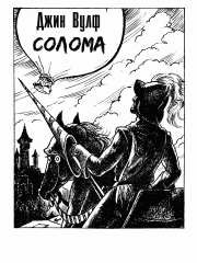 Солома. Дэвид Аллен Дрейк