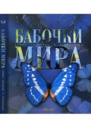 Книга - Бабочки мира.   Коллектив авторов  - прочитать полностью в библиотеке КнигаГо