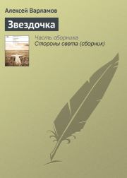 Книга - Звездочка.  Алексей Николаевич Варламов  - прочитать полностью в библиотеке КнигаГо