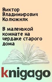 Книга - В маленькой комнате на чердаке старого дома.  Виктор Владимирович Колюжняк  - прочитать полностью в библиотеке КнигаГо