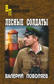 Книга - Лесные солдаты.  Валерий Дмитриевич Поволяев  - прочитать полностью в библиотеке КнигаГо