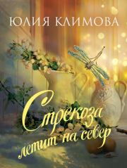 Стрекоза летит на север. Юлия Владимировна Климова