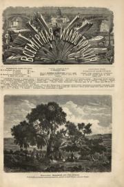 Книга - Всемирная иллюстрация, 1869 год, том 2, № 42.   журнал «Всемирная иллюстрация»  - прочитать полностью в библиотеке КнигаГо
