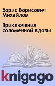 Книга - Приключения соломенной вдовы.  Борис Борисович Михайлов  - прочитать полностью в библиотеке КнигаГо
