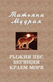 Книга - Рыжий пёс, бегущий краем моря.  Татьяна Алексеевна Мудрая  - прочитать полностью в библиотеке КнигаГо