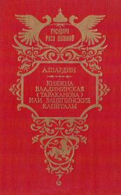 Книга - Княжна Владимирская (Тараканова), или Зацепинские капиталы.  Петр Петрович Сухонин  - прочитать полностью в библиотеке КнигаГо