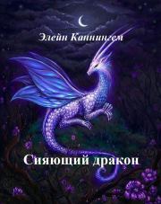 Книга - Сияющий дракон.  Элейн Каннингем  - прочитать полностью в библиотеке КнигаГо