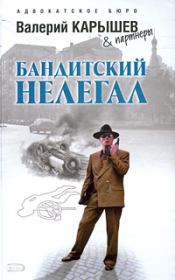 Книга - Исполнитель.  Валерий Михайлович Карышев  - прочитать полностью в библиотеке КнигаГо