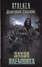 Закон наемника. Дмитрий Олегович Силлов