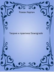 Теория и практика Downgrade (СИ). Роман Карпач
