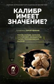 Калибр имеет значение?. Вадим Юрьевич Панов