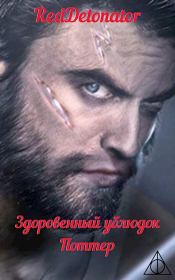 Здоровенный ублюдок Поттер 2. Нариман Ерболулы Ибрагим (RedDetonator)