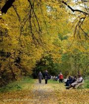 Идеологическая неразбериха в современной России. Истоки и причины. 