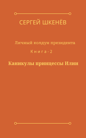 Книга - Каникулы принцессы Илии.  Сергей Николаевич Шкенёв  - прочитать полностью в библиотеке КнигаГо