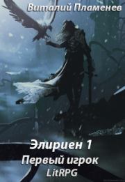 Книга - Элириен 1. Первый игрок..  Виталий Пламенев  - прочитать полностью в библиотеке КнигаГо