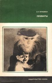 Книга - Приматы.  Эман Петрович Фридман  - прочитать полностью в библиотеке КнигаГо