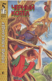 Чёрный котёл. Ллойд Александер