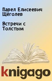 Книга - Встречи с Толстым.  Павел Елисеевич Щёголев  - прочитать полностью в библиотеке КнигаГо