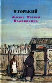 Книга - Жизнь Матвея Кожемякина.  Максим Горький  - прочитать полностью в библиотеке КнигаГо