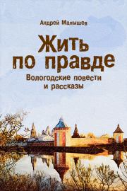 Жить по правде. Вологодские повести и рассказы. Андрей Валентинович Малышев