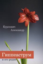 Книга - Гиппеаструм и его родня.  Александр Курлович  - прочитать полностью в библиотеке КнигаГо