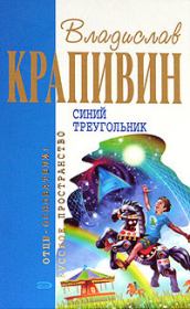 Книга - Синий треугольник.  Владислав Петрович Крапивин  - прочитать полностью в библиотеке КнигаГо