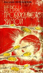 Книга - Вербы пробуждаются зимой.  Николай Егорович Бораненков  - прочитать полностью в библиотеке КнигаГо