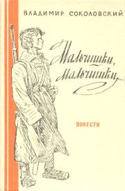 Книга - Мальчишки, мальчишки....  Владимир Григорьевич Соколовский  - прочитать полностью в библиотеке КнигаГо