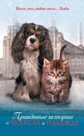 Правдивые истории о чудесах и надежде.  Коллектив авторов